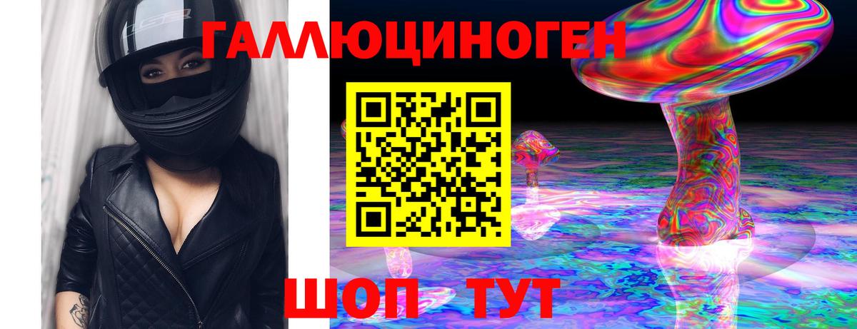 Галлюциногенные грибы Psilocybe Знаменск