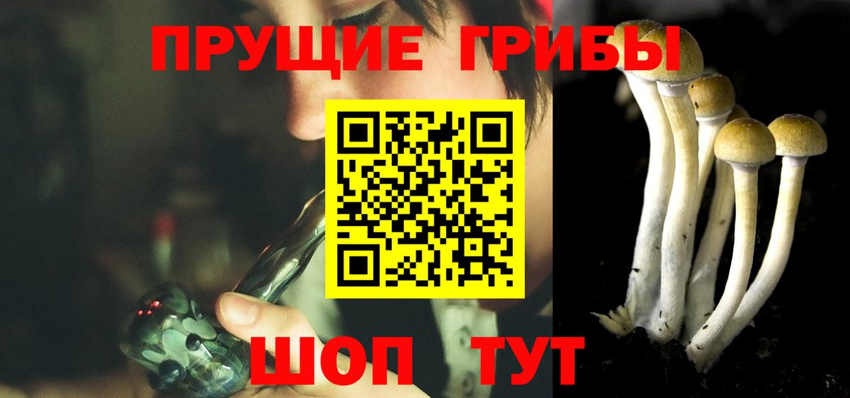 Знаменск  Галлюциногенные грибы Magic Shrooms  дарнет шоп  Вход с VPN  Псилоцибиновые грибы Magic Shrooms 